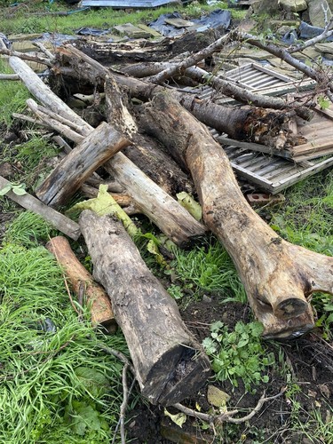 Logs delivered more than one - delivered,