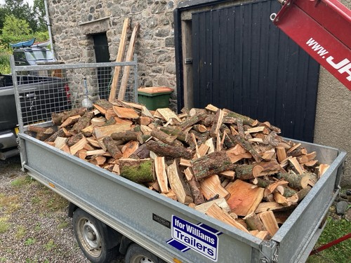 Firewood logs fuel - logs, unseasoned