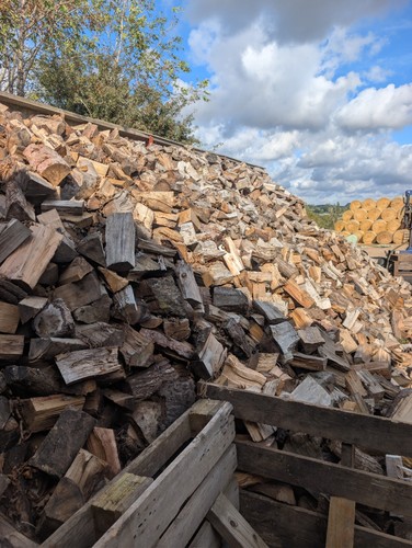 Seasoned mixed wood firewood - seasoned,