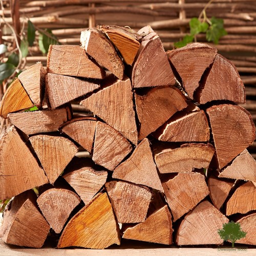 Hardwood logs kiln - hardwood,