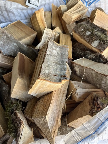 Fire wood logs ready burn - logs, 2