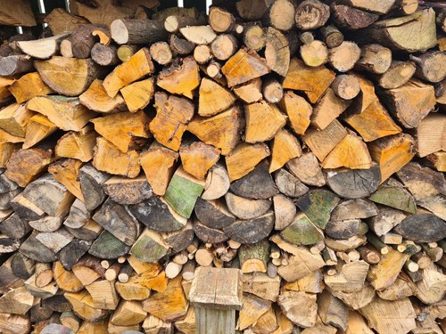Unseasoned softwood logs - unseasoned,