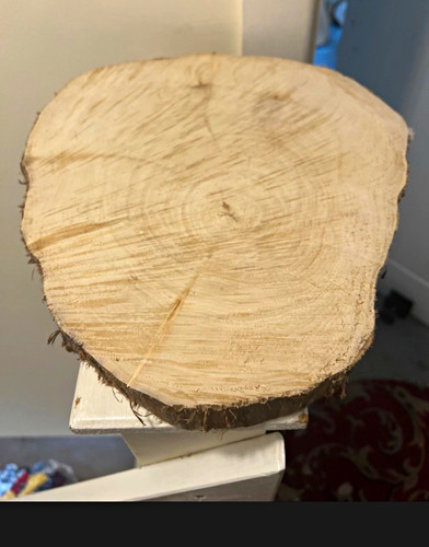 Wood firewood log slice round - slice,