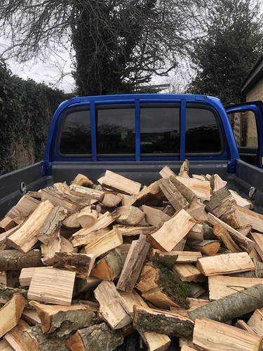 Logs for sale - logs,