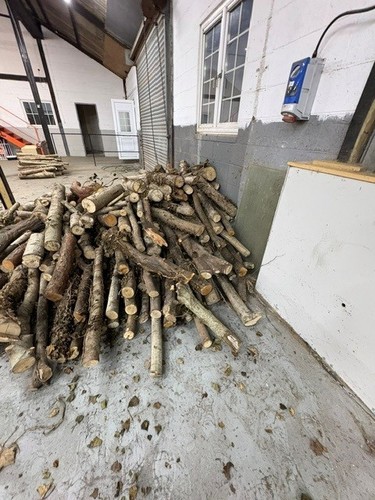 Large pile mix firewood - pile,