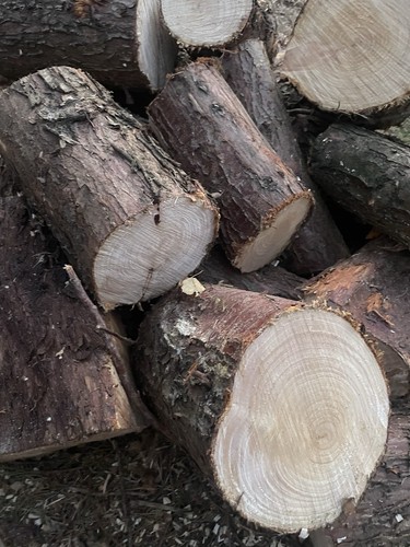 Ton bag logs - bag, of