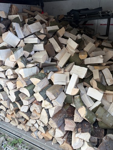 Firewood logs hardwood - firewood,