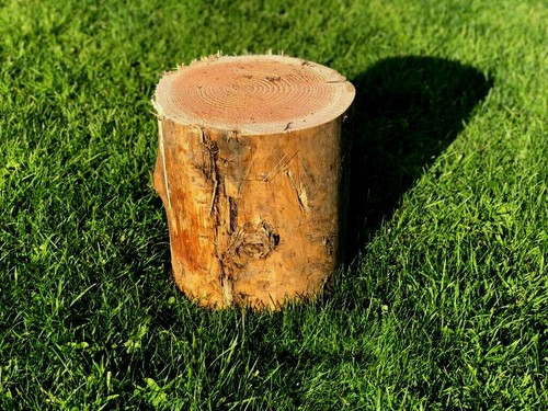 Firewood chopping block - firewood,
