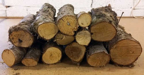 Large box year dried - large,